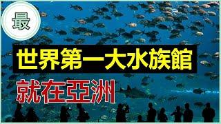 最大的水族館！居住超過15,000個海洋生物！