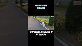 배당투자자의 은퇴계획 #shorts #배당주 #미국주식 #월배당
