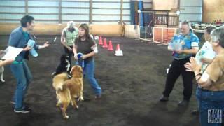 2012 UKC Washington Classic | United Kennel Club