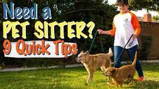 How to Hire a Professional Pet Sitter - Nine Quick Tips