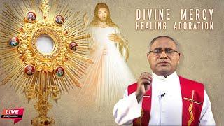 Divine Mercy Adoration Live Today | Fr. John Kanichery VC | 09 November | Divine Goodness TV