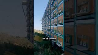 루마니아의 특별한 양봉 방식