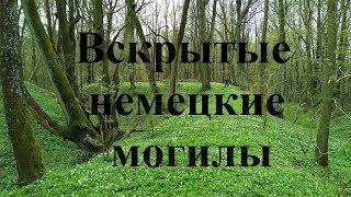 ВСКРЫТЫЙ СКЛЕП СРЕДИ ЛЕСА/КОПАЕМ МОНЕТЫ/ЕСТЬ СЕРЕБРО!!! КОП ПО ВОЙНЕ/WW2 METAL DETECTING