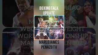 Manny Pacquiao VS Mario Barrios WBC welterweight world championship