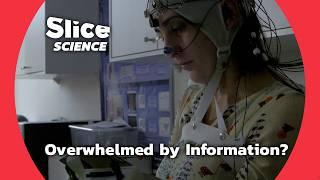 Is Information Overload Harming Your Brain ? | SLICE SCIENCE |  FULL DOC