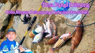 Meledak Spot Baru Karang Dangkal‼️Coba pelampung Berbunyi dan Sabiki. Pantai Pangi Bolmong