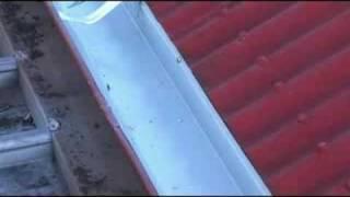 Re-Guttering Roofing Process - Reliance Roof Restoration