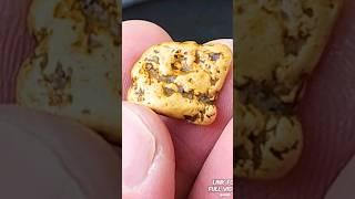 DIVER FINDS BIG GOLD NUGGET UNDER ROCK!