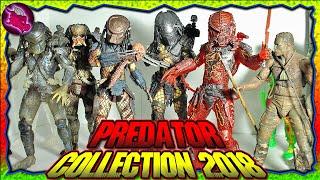 My NECA Predator Collection Display