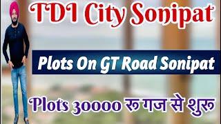 TDI City Sonipat | Freehold Plots मात्र 30000 गज से शुरू #realestate #delhi #house #plot #plots