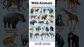 Wild Animals Name in English and Hindi | #wildanimalsname #wildanimals #shorts #shortvideo