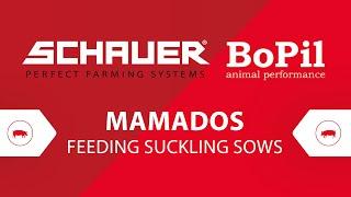 MAMADOS Feeding system that weaned 14 piglets!