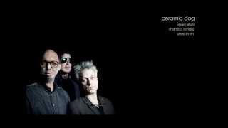 Marc Ribot's Ceramic Dog live - Death of a Narcissist - 11July2015