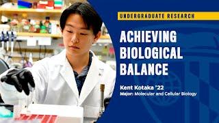 Achieving Biological Balance