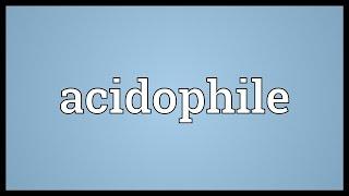 Acidophile Meaning