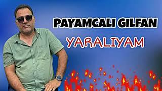 Payamcalı Gılfan Yaralıyam & Şu Payamcaya Gelmez Olaydım