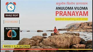 Anuloma Viloma Pranayam, Guided Breath, Alpha Waves, Ratio 1:1, 4 Sec, Alternate Nostril, 21 Rounds