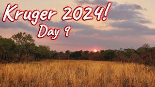 Day 9 – Kruger National Park! S1 – Ep 549