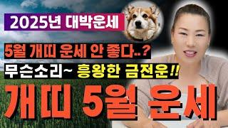 2025년 5월 개띠운세 건강운도 좋고~ 금전운도 좋고~! [양평용한점집 청화신당]