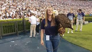 Good grief that eagle is loud...