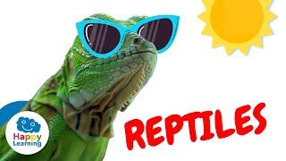 CURIOSIDADES SOBRE LOS REPTILES | Happy Learning   