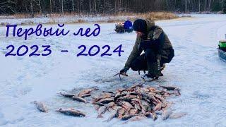 Первый лед 2023-2024. Такого клева я давно не видел! № 1.