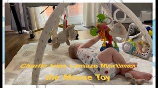 Charlie Tries It (Ep.4): Baby Charlie plays with Lamaze Mortimer the Moose Toy (from Amazon)