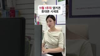 11.01 휴대폰성지 휴대폰싸게사는법