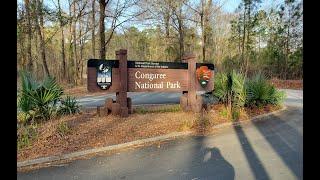 Minute Walk in History - Congaree National Park