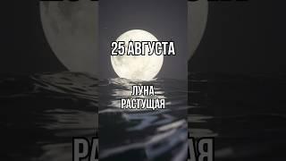 25 августа. Лунный календарь. Растущая луна. #лунный #календарь #лунныйкалендарь