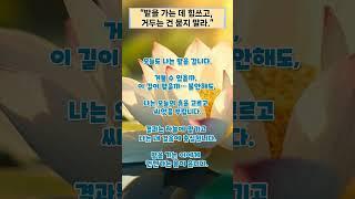 #지혜의길 #부처님말씀 #명상 #마음의평화 #지혜의길 #명언 #마음의소리로쓰는글