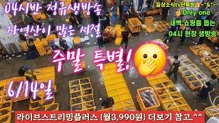 자광 자참 숭어 도다리 자연산횟감 물량폭탄 6/14일 04시반 정규라이브(월~토)️Only one 새롭고 싸고 다양한 노량진수산시장 새벽 쇼핑을 돕는 정규생방송(Live)운영~