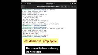 GREP command #coding #linux #grep #command #grepcommands #ytshorts