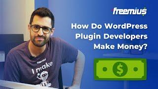 How Do WordPress Plugin Developers Make Money?