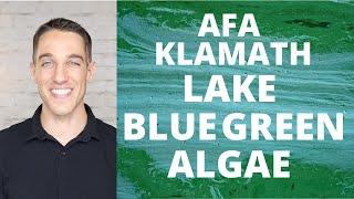 Benefits of AFA Blue Green Algae from Klamath Lake