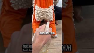 귀여움 주의 이 바디수트 진짜 천재적이에요
