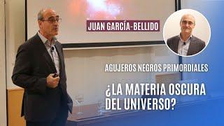 Agujeros negros primordiales, ¿la materia oscura del universo?