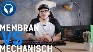 Mechanisch vs. Membran | WELCHE GAMING TASTATUR BRAUCHE ICH?