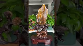缅甸树化玉，#树化玉 #木化石 #硅化木 #玉石 #远古树木 #化石   #宝石 #地质奇观 #珍贵藏品 #自然瑰宝 #纹理独特 #色彩丰富 #观赏价值  #收藏价值
