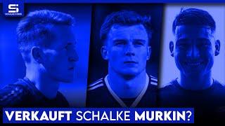 Nur 2 Mio. für Murkin? Holt Schalke Tomás Porra? Weiter 3er-Kette? Hoffmann neue Nummer 1! S04 NEWS