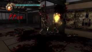 Ninja Gaiden 2 - Master Ninja - No Damage Run CH01 - CH03 Player:复活斩