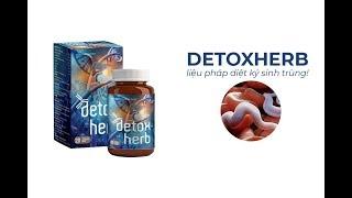 Đánh Giá Detox Herb