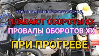 Плавают обороты и нестабильная работа двигателя при прогреве. Находим причину по логам диагностики