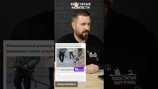 Хвостатые Новости со всего мира! Целиком выпуск смотрите на канале. Ссылка выше) #животные #новости