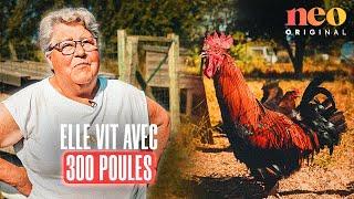 À 82 ans, Renée élève 300 poules aux œufs reconnus dans le monde entier