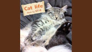 Cat life (2017 Ver.)