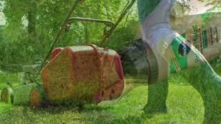 Give your lawn some TLC this spring