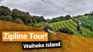  Waiheke Island Zipline Tour with EcoZip Adventures – New Zealand's Biggest Gap Year