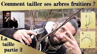 Comment tailler ses arbres fruitiers  ?