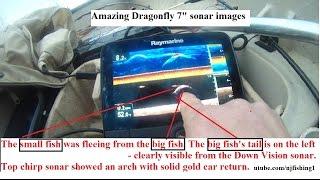 Raymarine Dragonfly 7 sonar fish images explained (3 of 3)